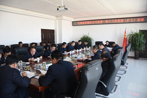 新區公司黨委召開一屆十八次黨委（擴大）會議安排部署2019年黨建重點工作