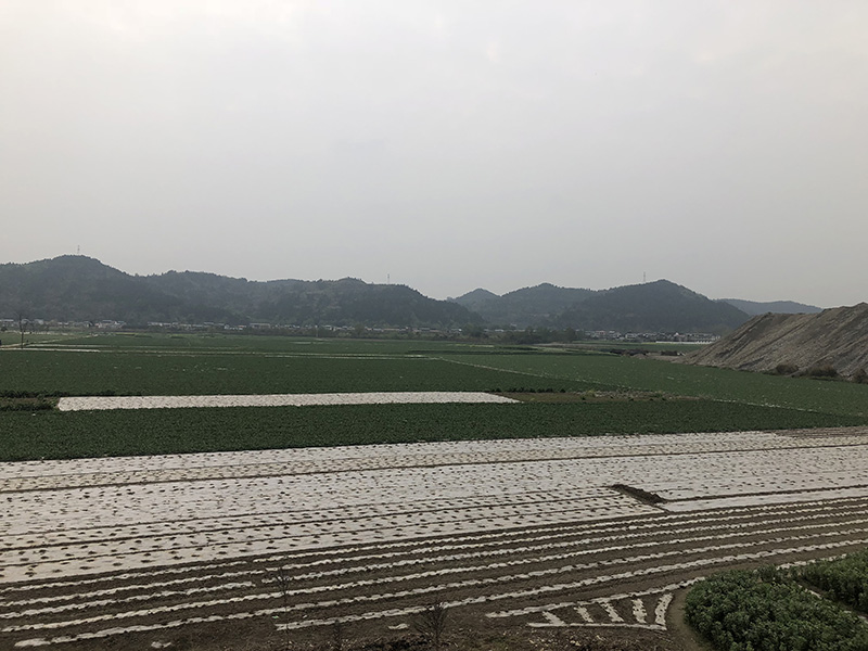 市、縣領(lǐng)導(dǎo)現(xiàn)場(chǎng)調(diào)研天馬50萬(wàn)噸玻瓶項(xiàng)目(圖7)